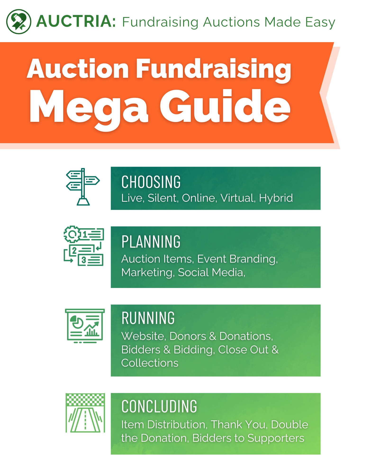 Mega Auction Fundraiser Guide