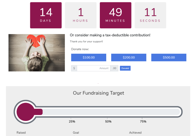 Online Donation Form
